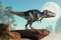 Fototapeta Dinozaur Na Skałach