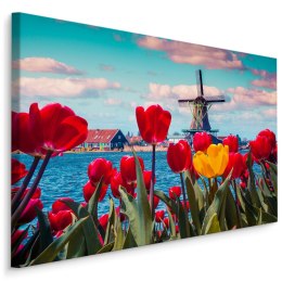Obraz Na Płótnie Tulipany Na Tle Holenderskiego Wiatraka