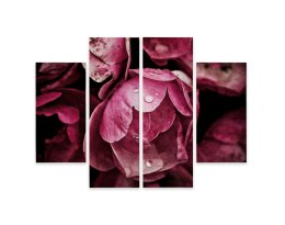 Obraz Wieloczęściowy Kwiaty Piwonii Z Bliska 3D