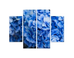 Obraz Wieloczęściowy Kwiaty Niebieskiej Hortensji Z Bliska