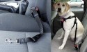 Smycz samochodowa dla psa praktyczna wygodny pas do przewożenia zwierząt