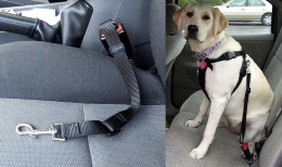 Smycz samochodowa dla psa praktyczna wygodny pas do przewożenia zwierząt