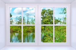 Fototapeta Window To Nature