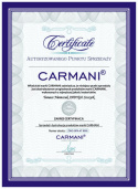 poduszka z wypełnieniem/suwak - classic & exclusive, bmw i8 (carmani)