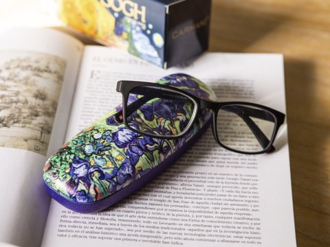 Etui futerał twardy z nadrukiem w kwiaty na okulary do torebki Gogh Irysy