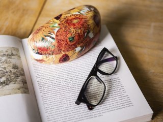 Etui na okulary dla dziewczyn kobiet futerał do torebki Gogh Słoneczniki