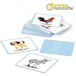 Karty z obrazkami Zwierzęta domowe