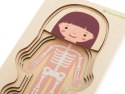 puzzle drewniane budowa ciała montessori dziewczynka