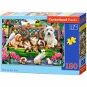 CASTORLAND Puzzle 180el. Pets in the Park - Zwierzęta w parku