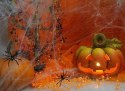 Pajęczyna dekoracyjna na Halloween + pająki biała 60g
