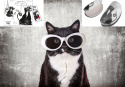 Zestaw Koty etui na okulary + ściereczka do czyszczenia okólarów