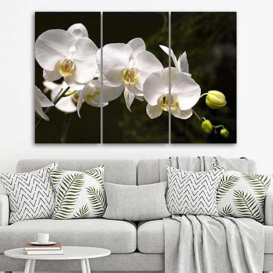 Na płótnie biała orchidea