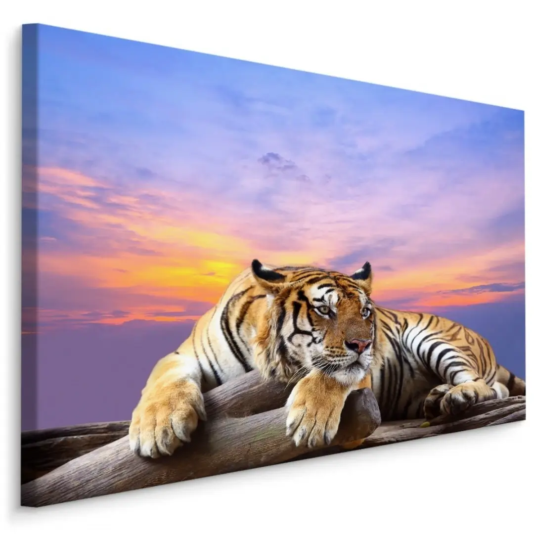 Obraz Na Plotnie Wypoczywajacy Tygrys